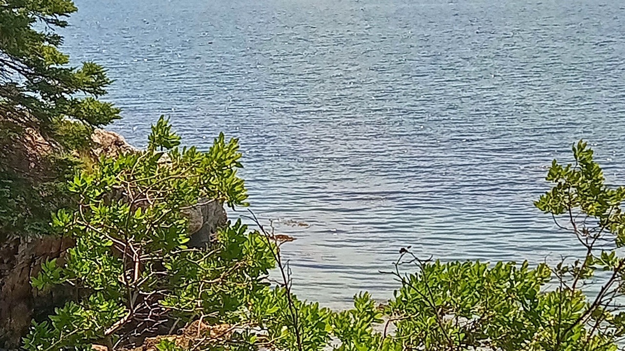 Photo of Others in Hancock Point