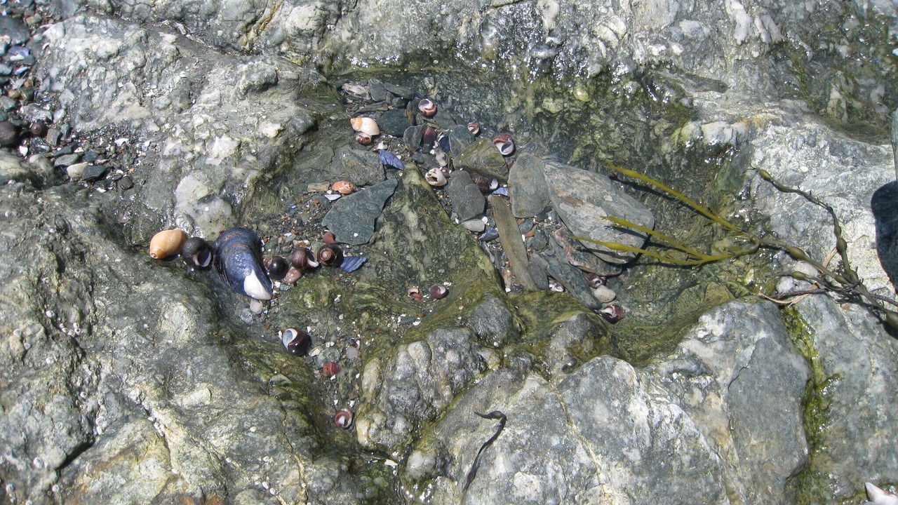 Photo of Outdoor in Hancock Point