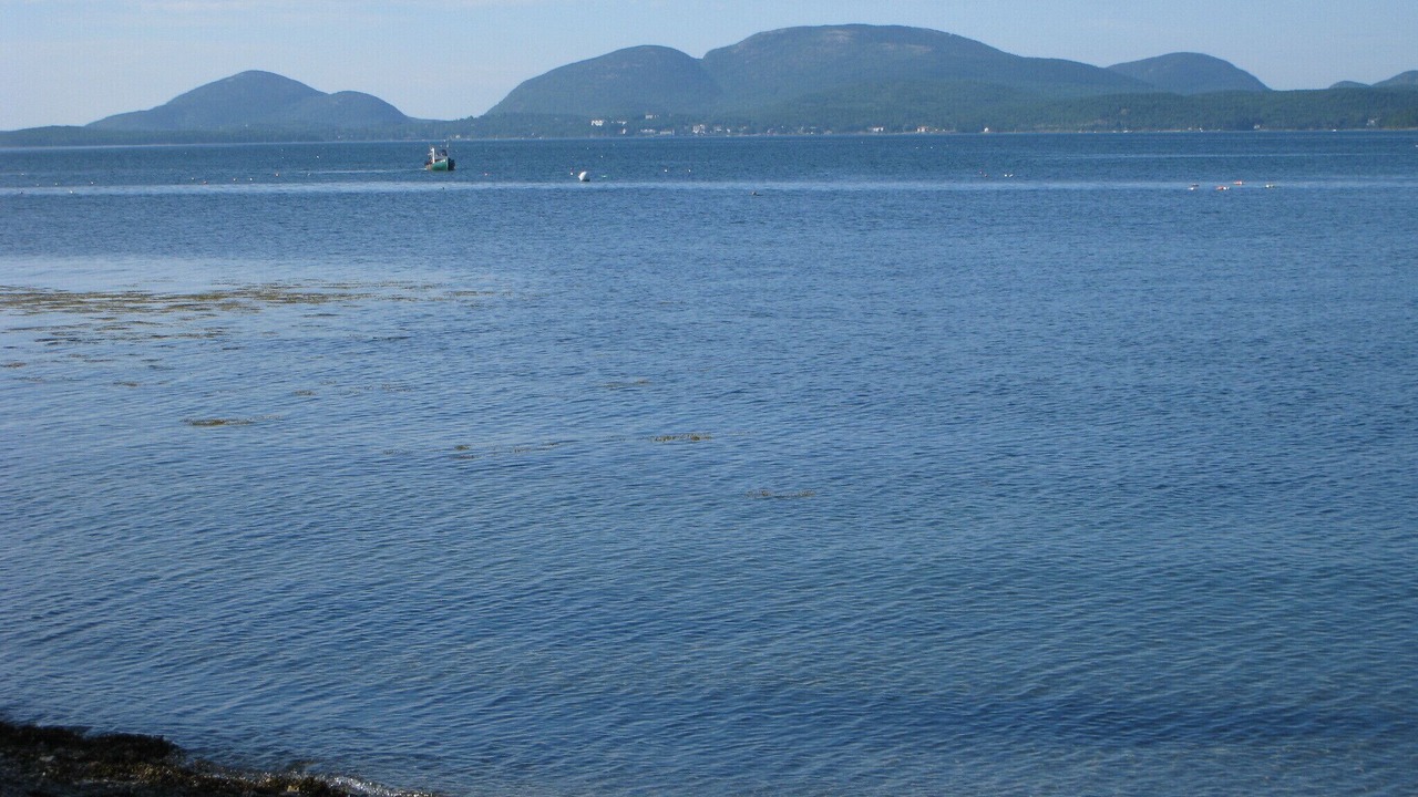 Photo of Others in Hancock Point
