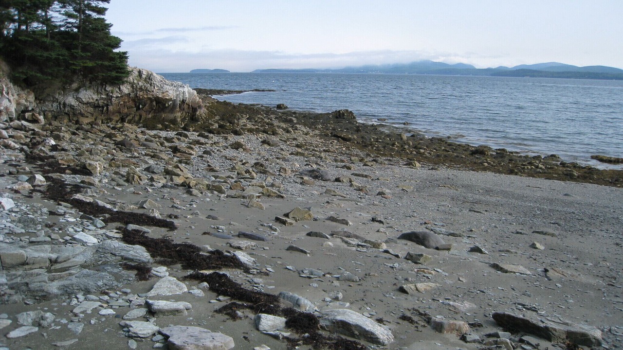 Photo of Others in Hancock Point