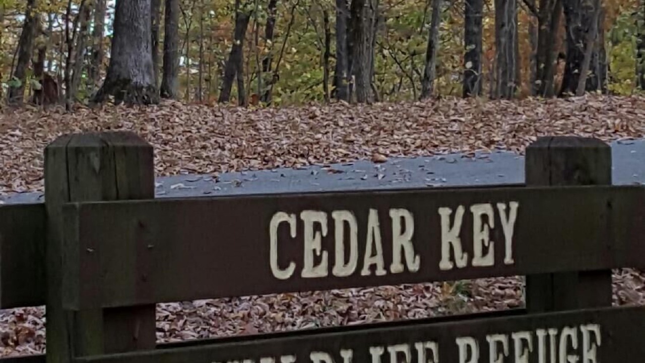 Photo of Outdoor in Huddleston