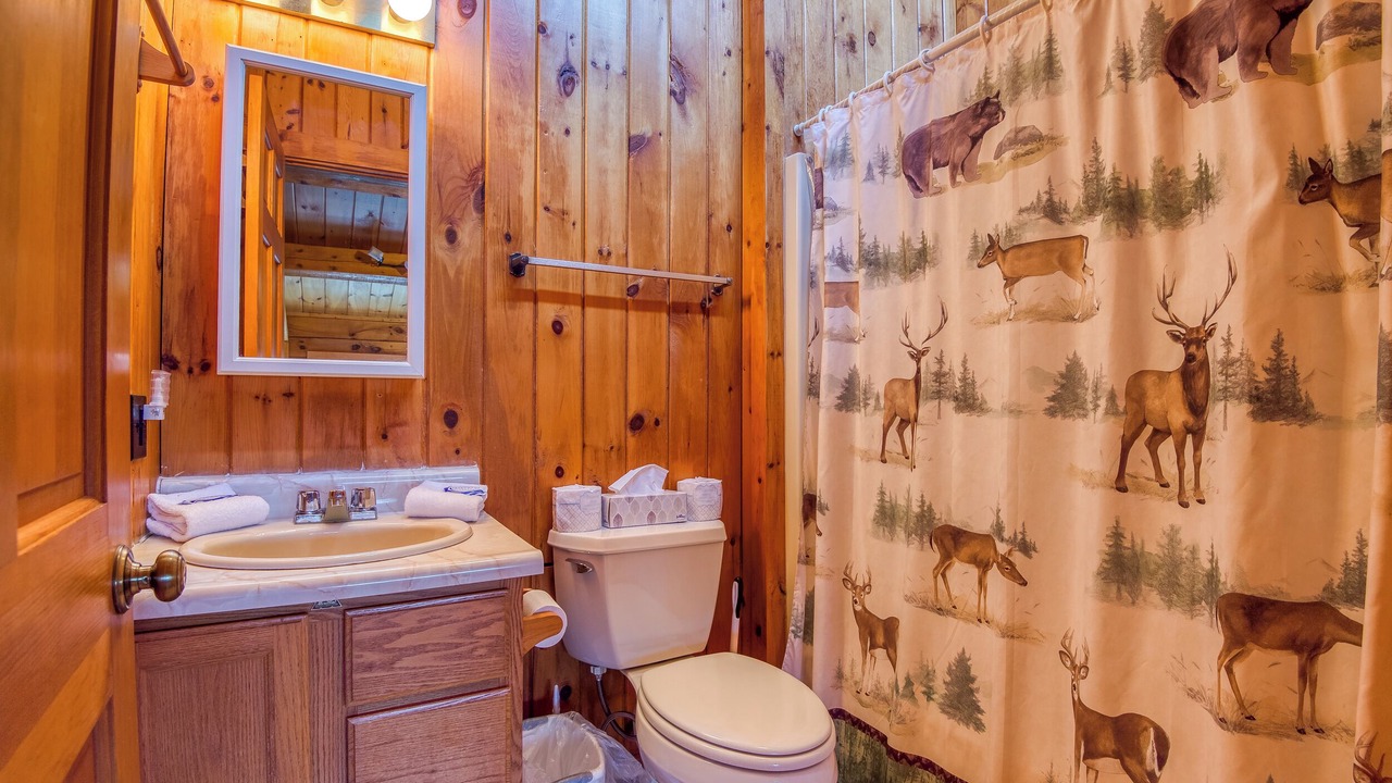 Photo of Bathroom in Rangeley
