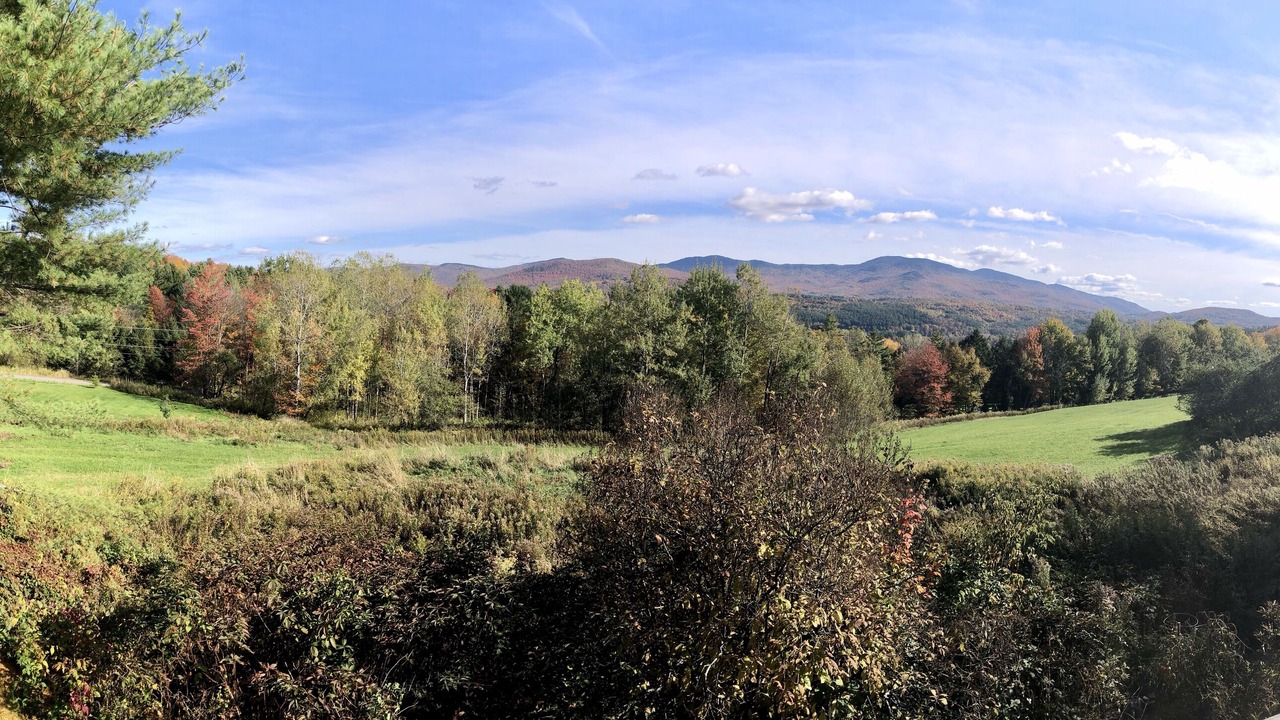 Photo of Others in Stowe Area