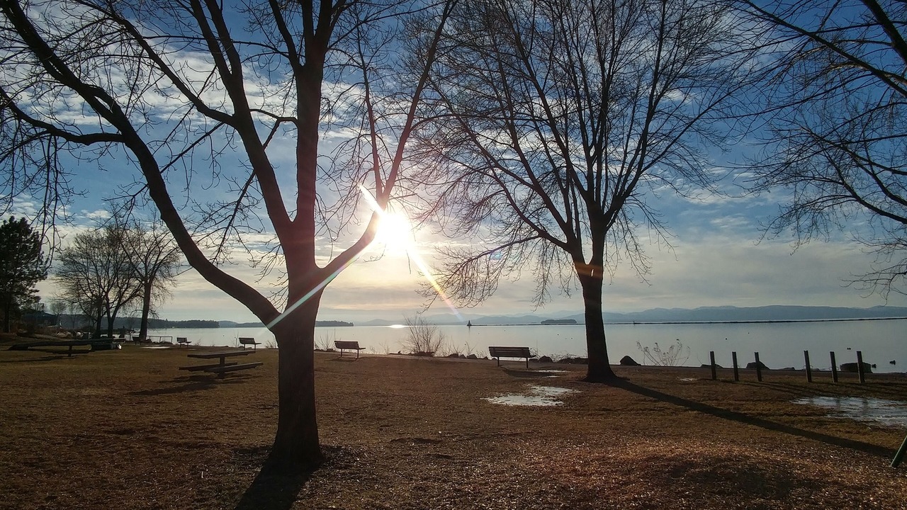 Photo of Others in South End