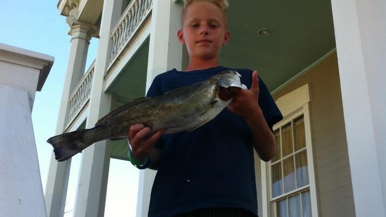 Photo of Others in San Jacinto