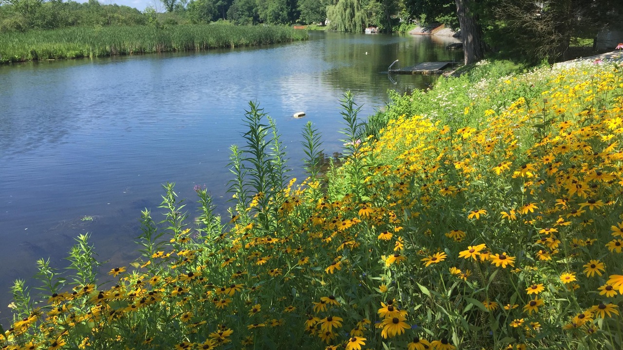 Photo of Outdoor in Saratoga Springs
