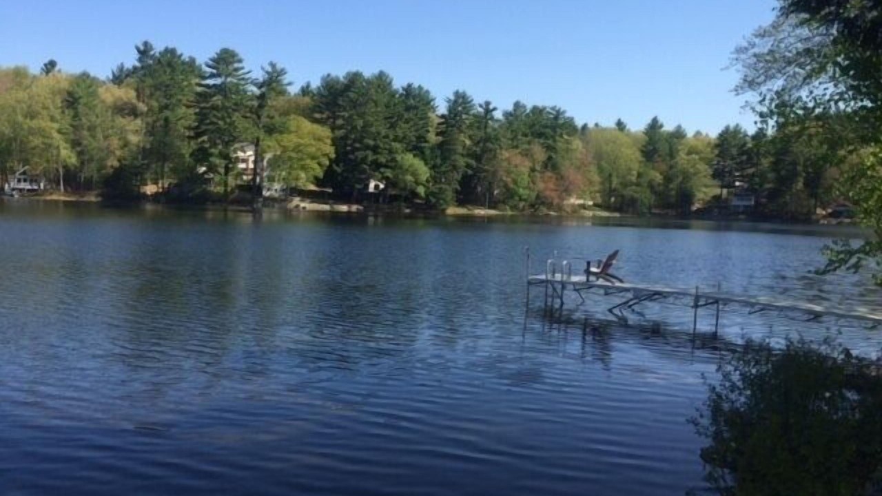 Photo of Others in Windham