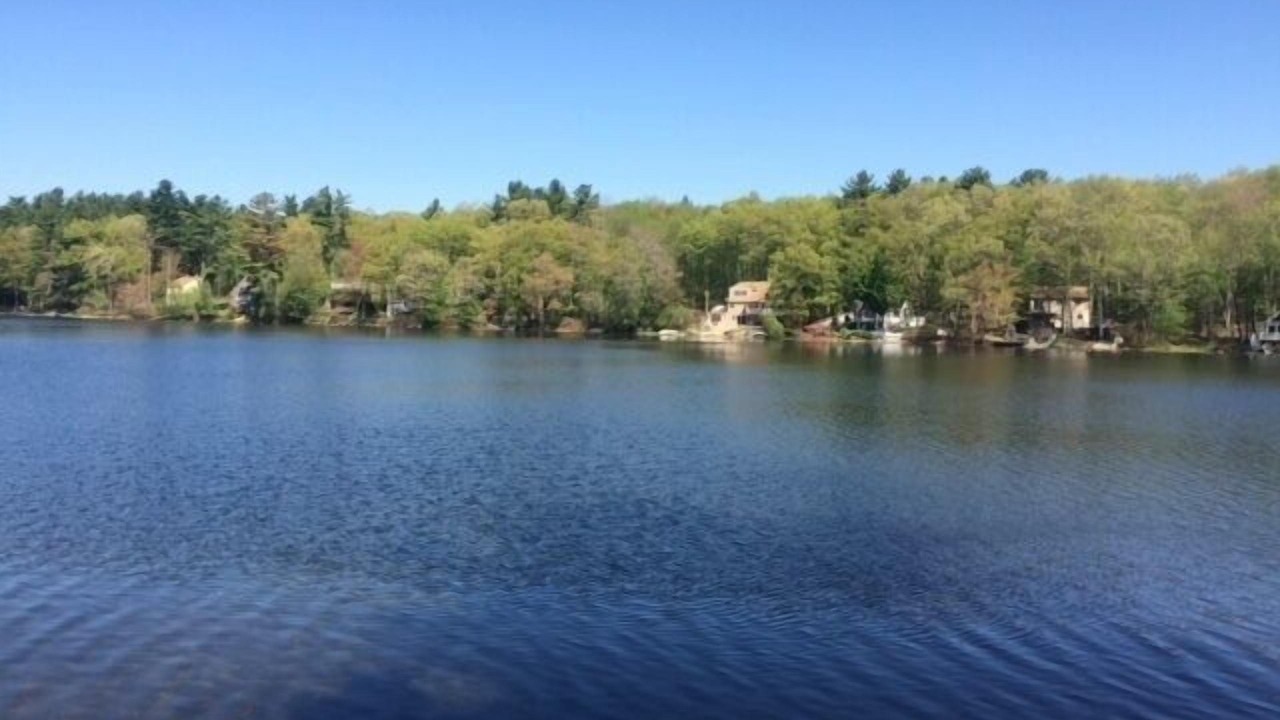 Photo of Others in Windham