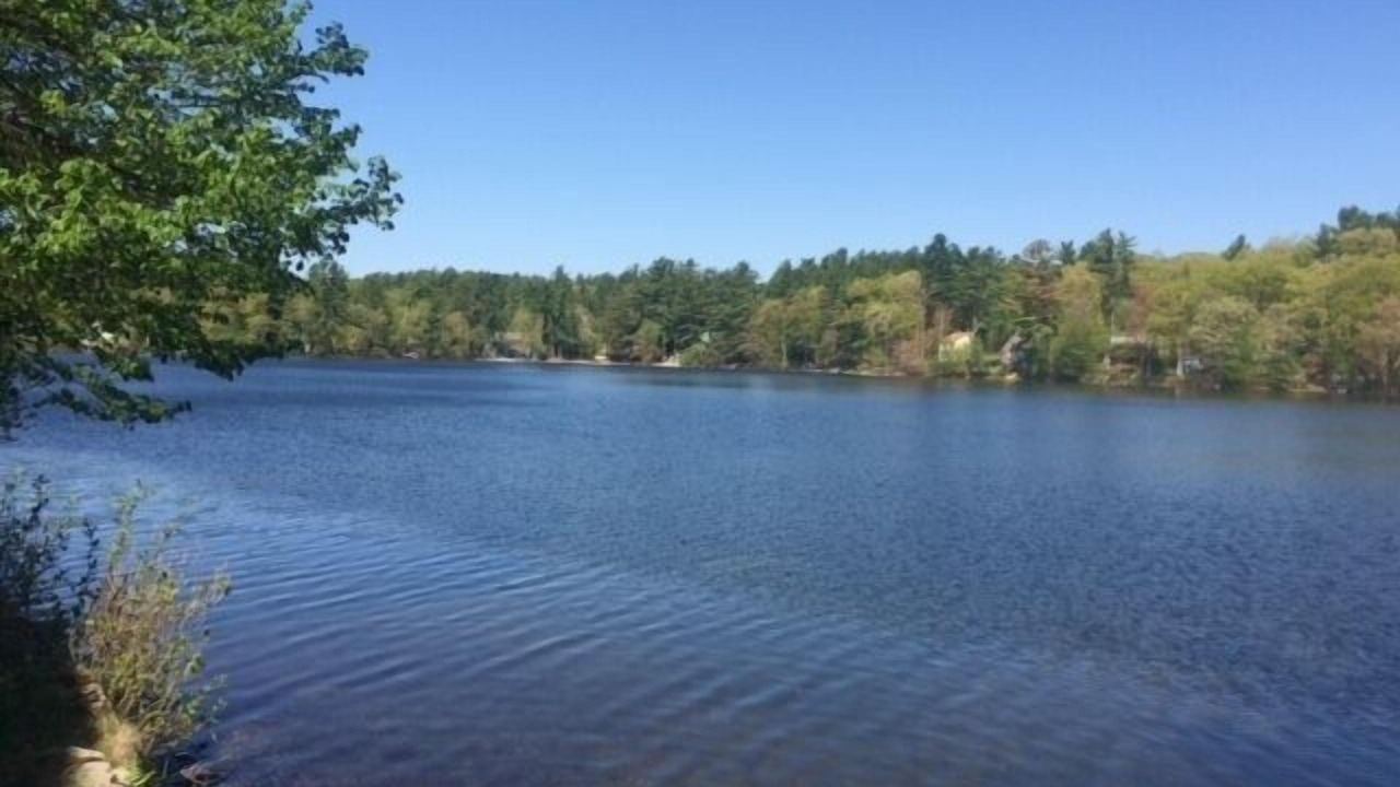 Photo of Others in Windham