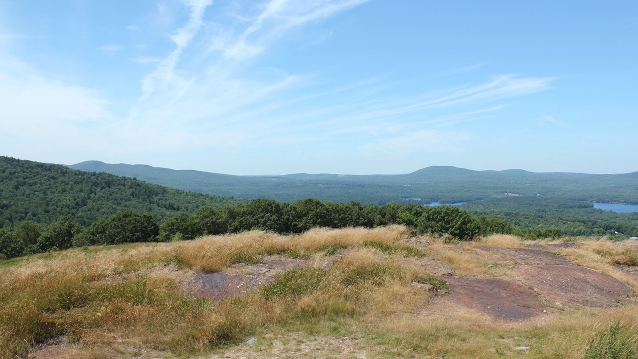 Photo of Others in Lincolnville