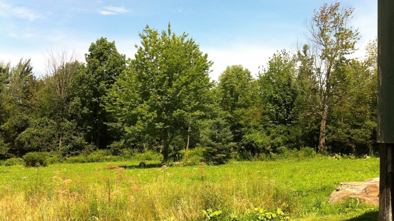 Photo of Others in Lincolnville