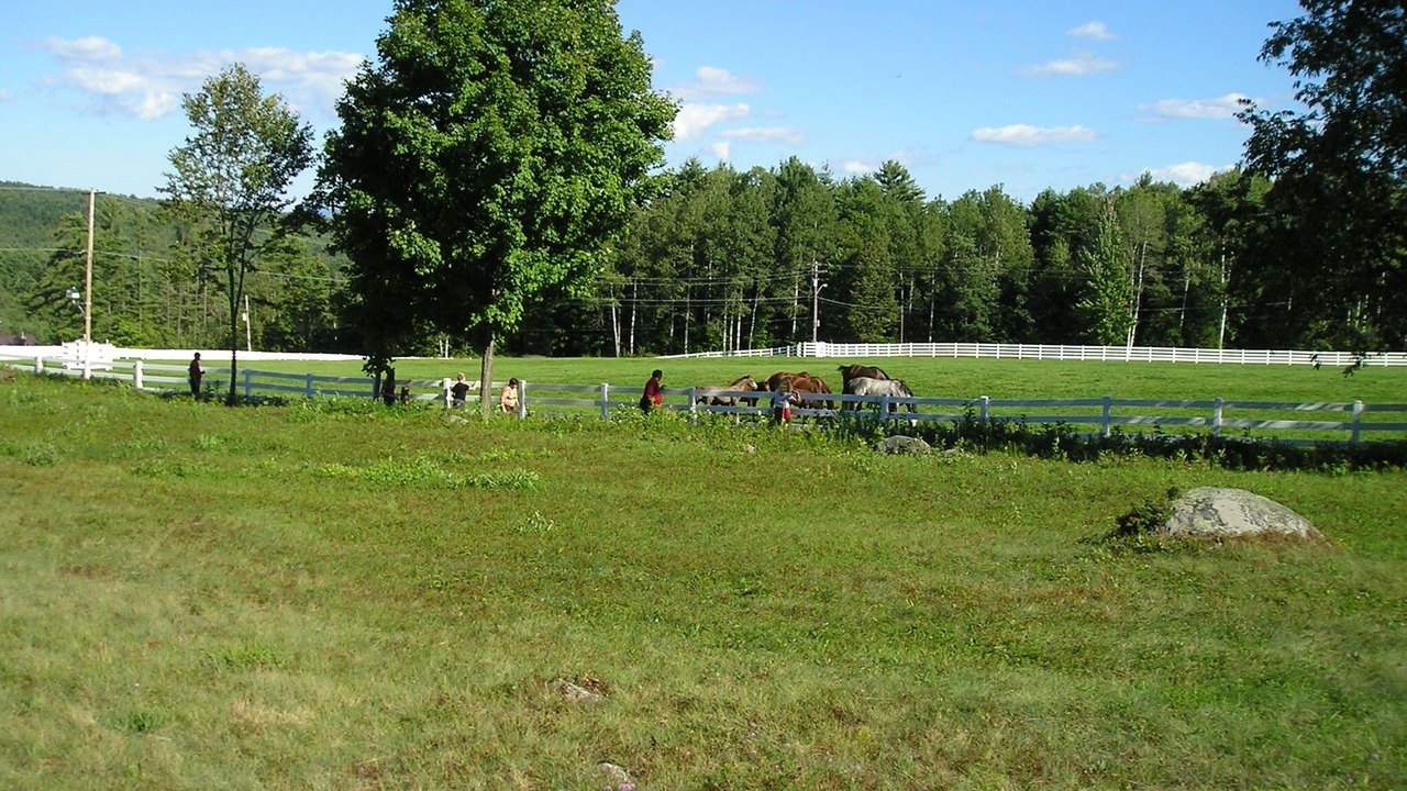 Photo of Others in Chestertown