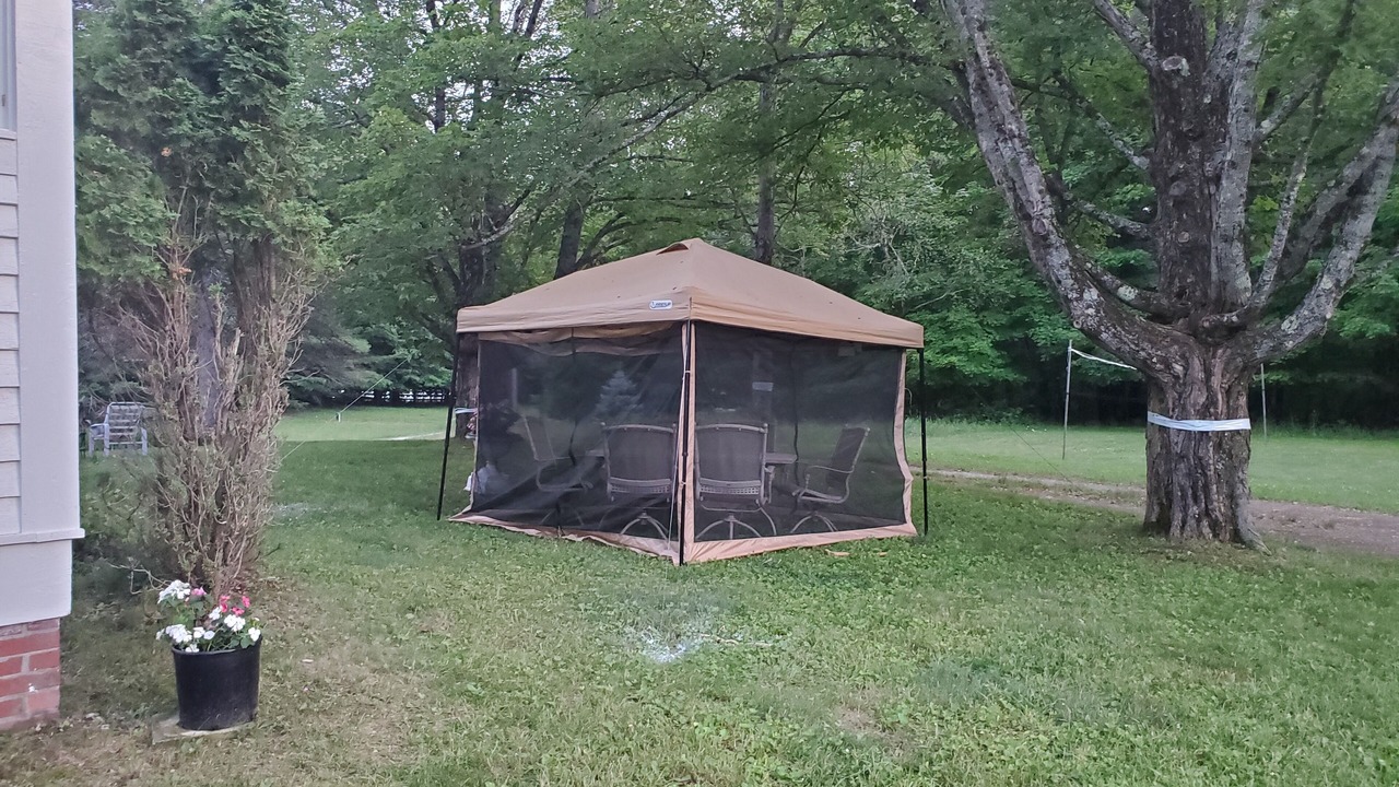 Photo of Outdoor in Chestertown