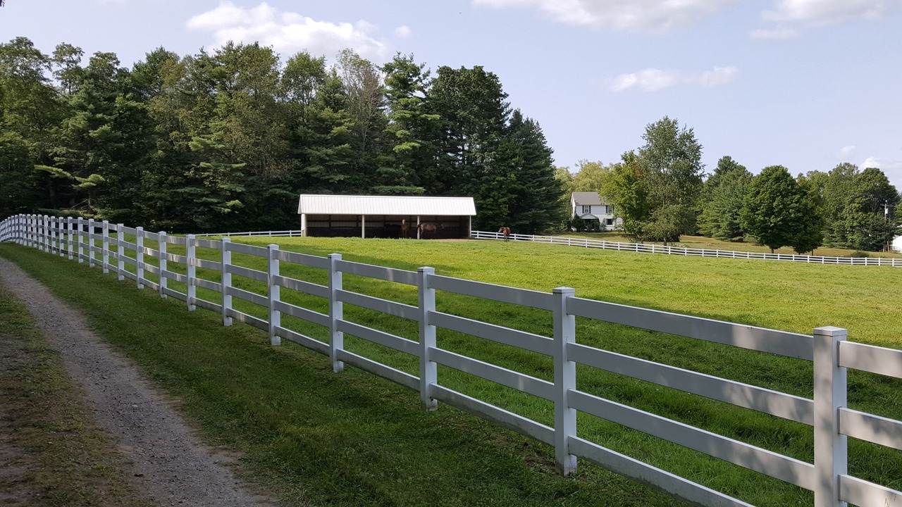 Photo of Others in Chestertown