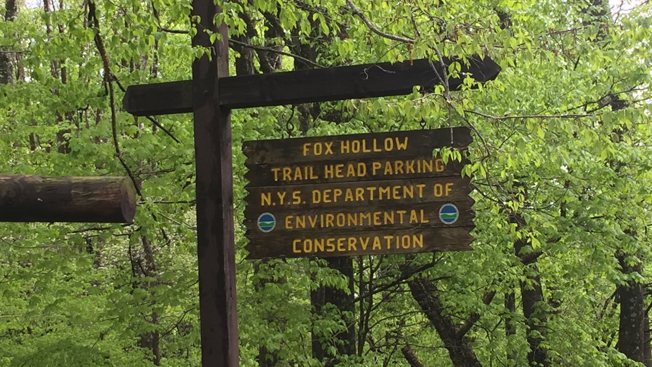 Photo of Others in Shandaken