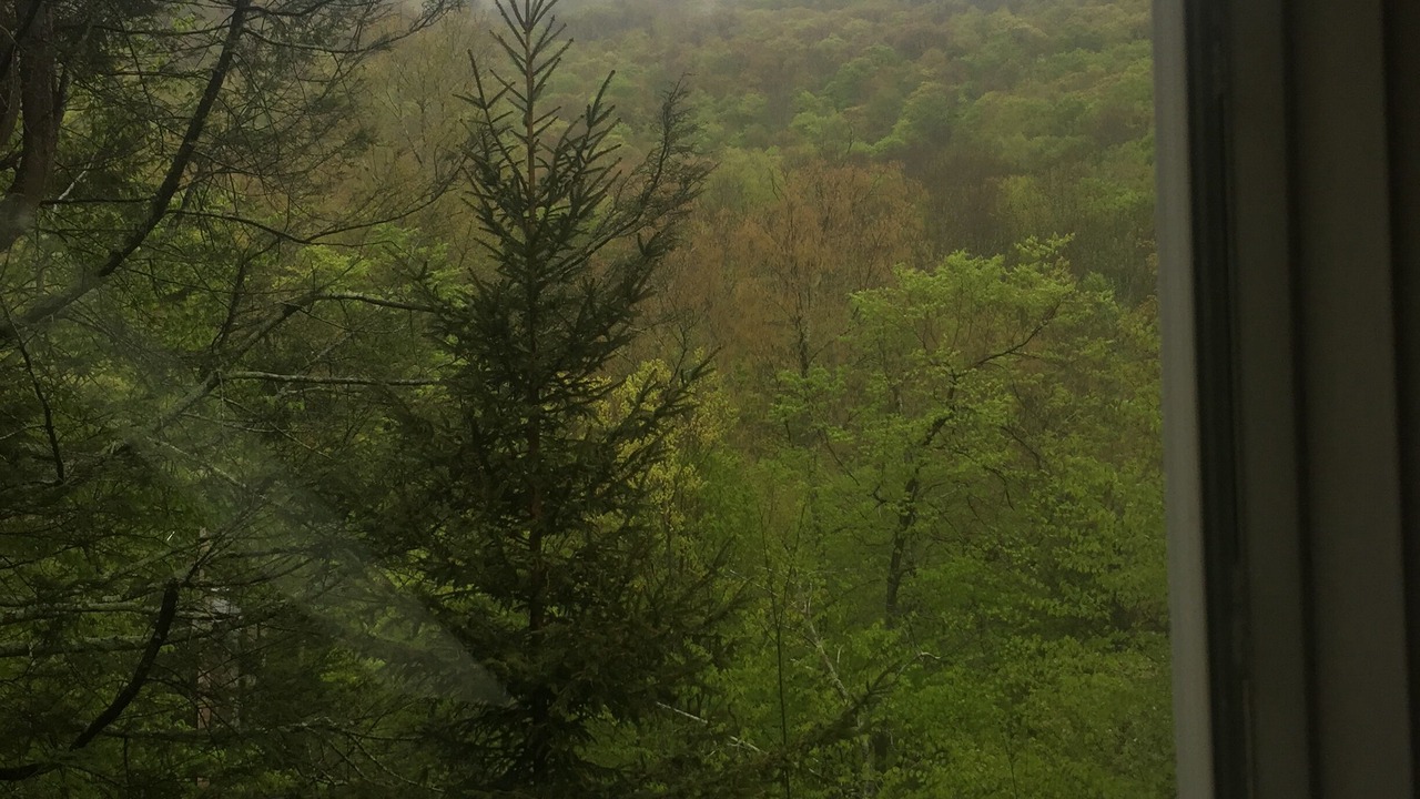 Photo of Others in Shandaken