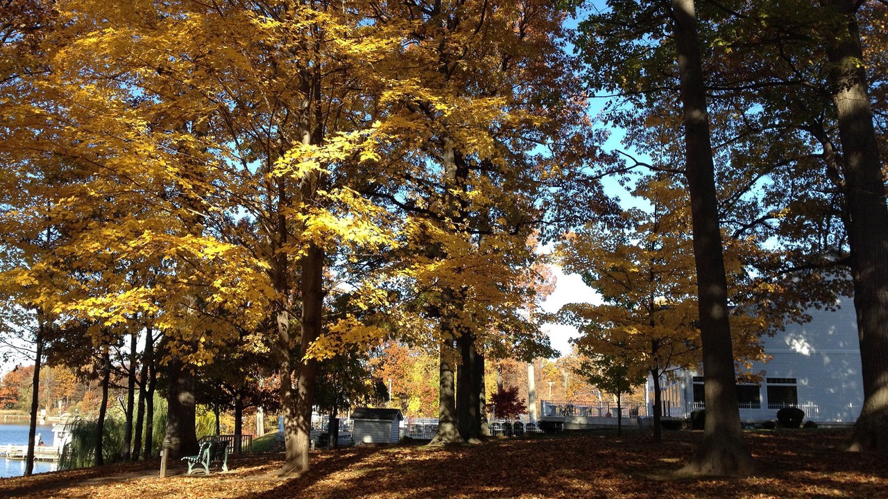 Photo of Outdoor in North Rose