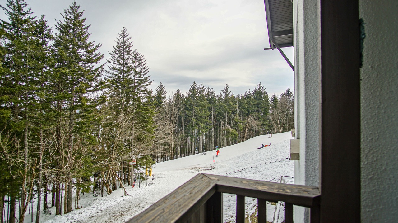 Photo of Outdoor in Snowshoe