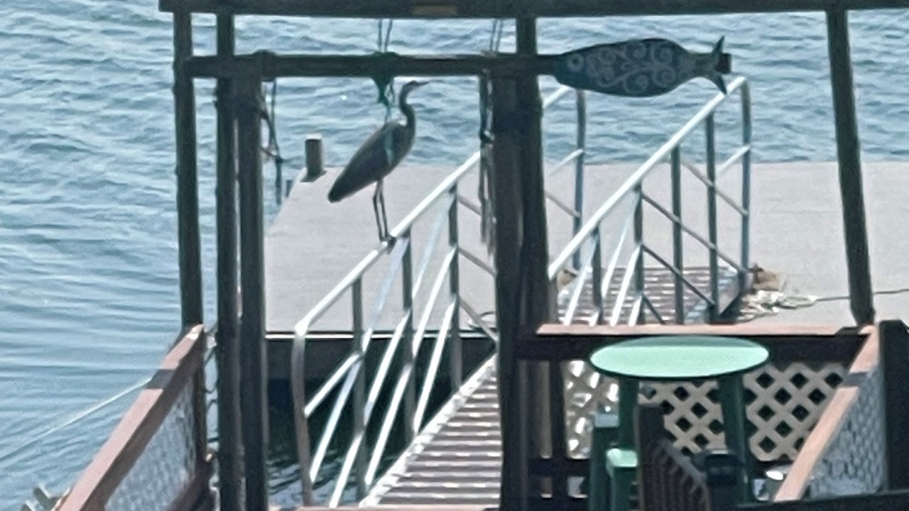 Photo of Others in Sebascodegan Island
