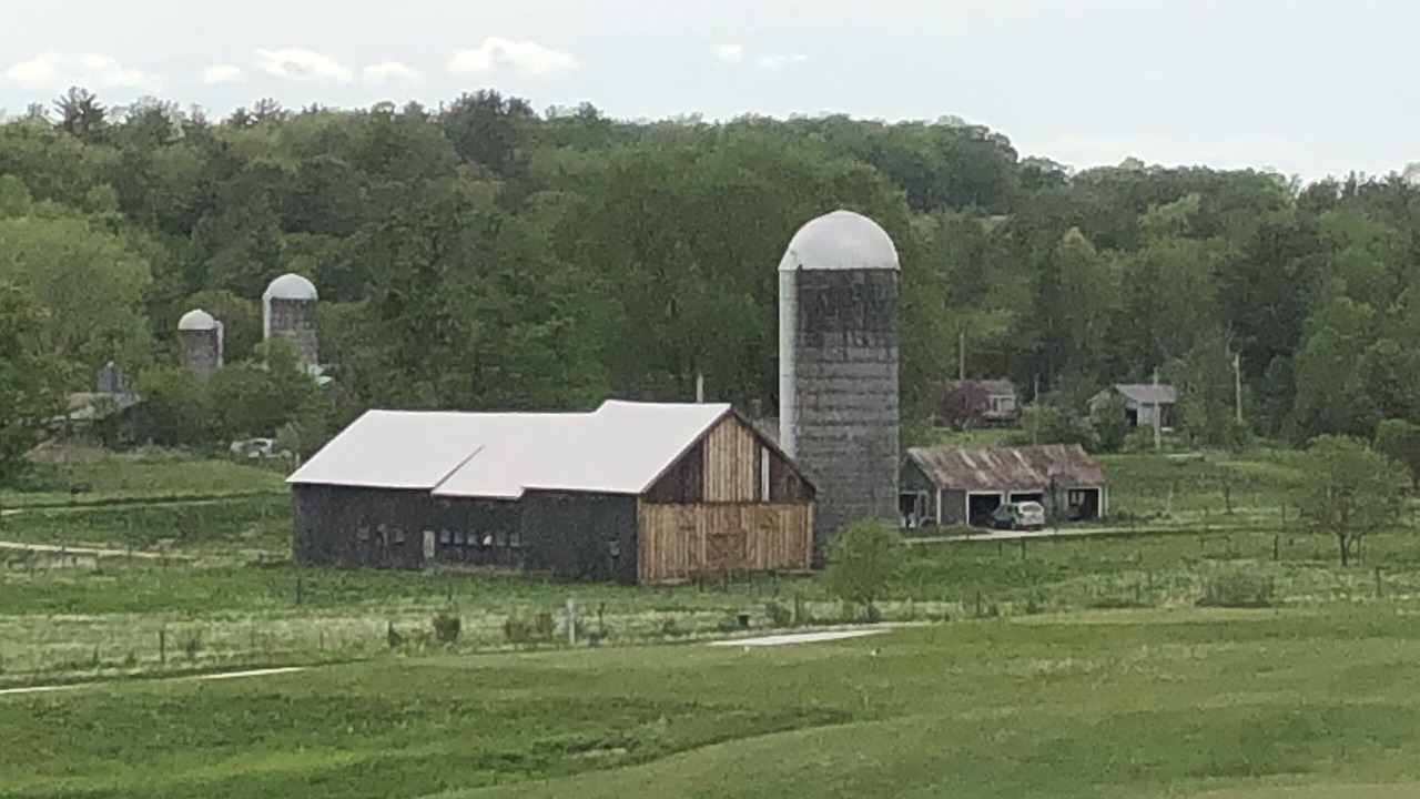 Photo of Others in Forest Dale