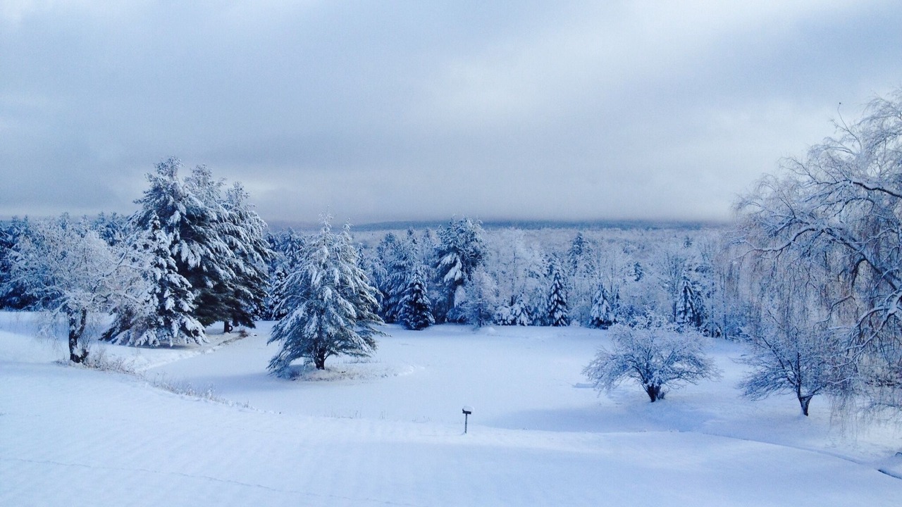 Photo of Others in Stowe