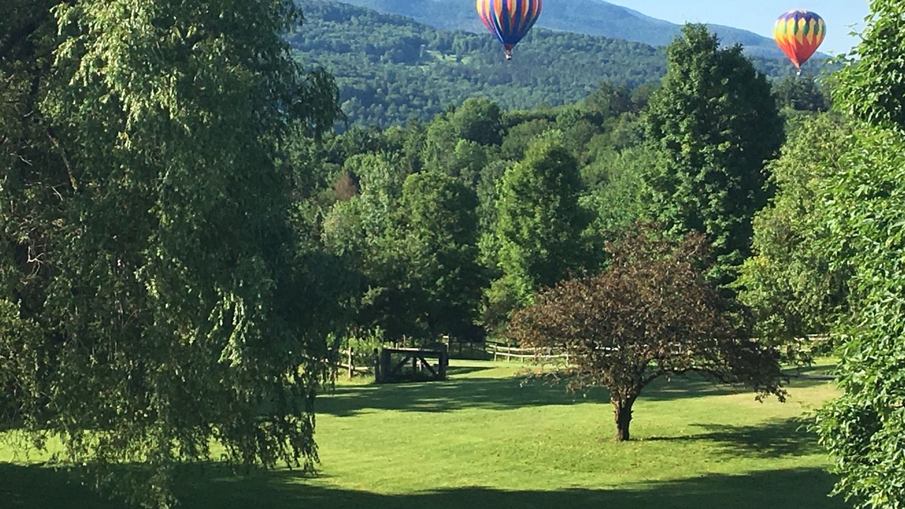 Photo of Others in Stowe