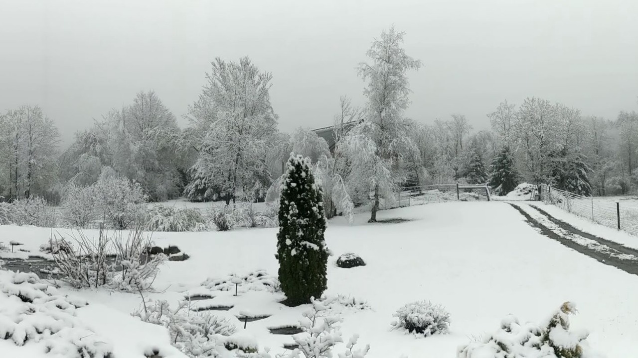 Photo of Outdoor in Northfield