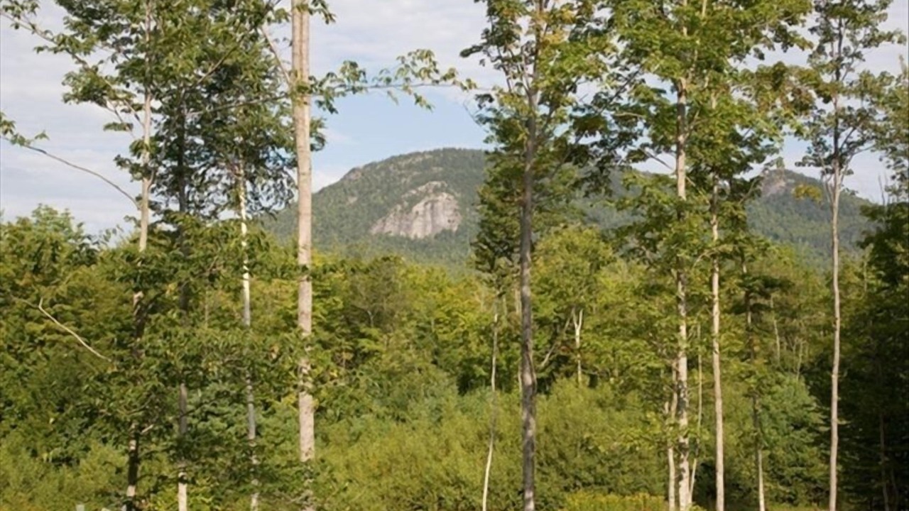 Photo of Outdoor in Gorham