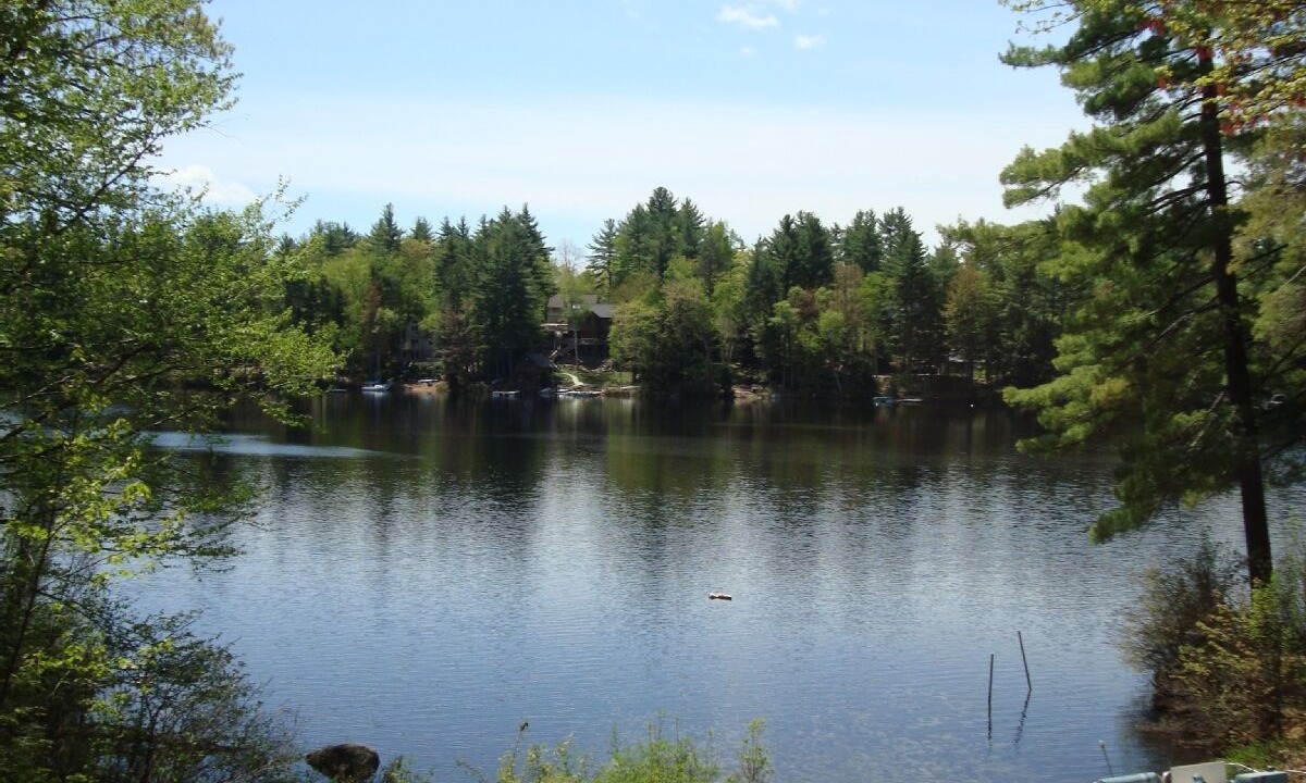 Photo of Outdoor in Center Conway
