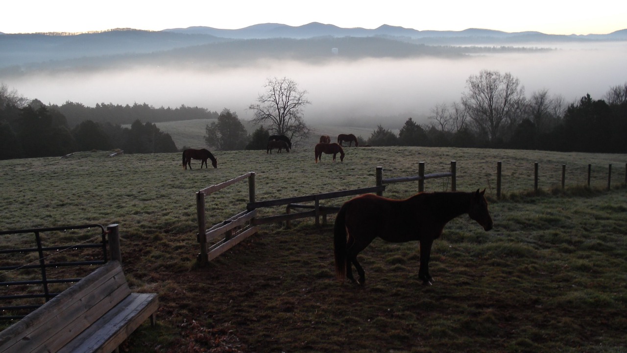 Photo of Outdoor in Lexington