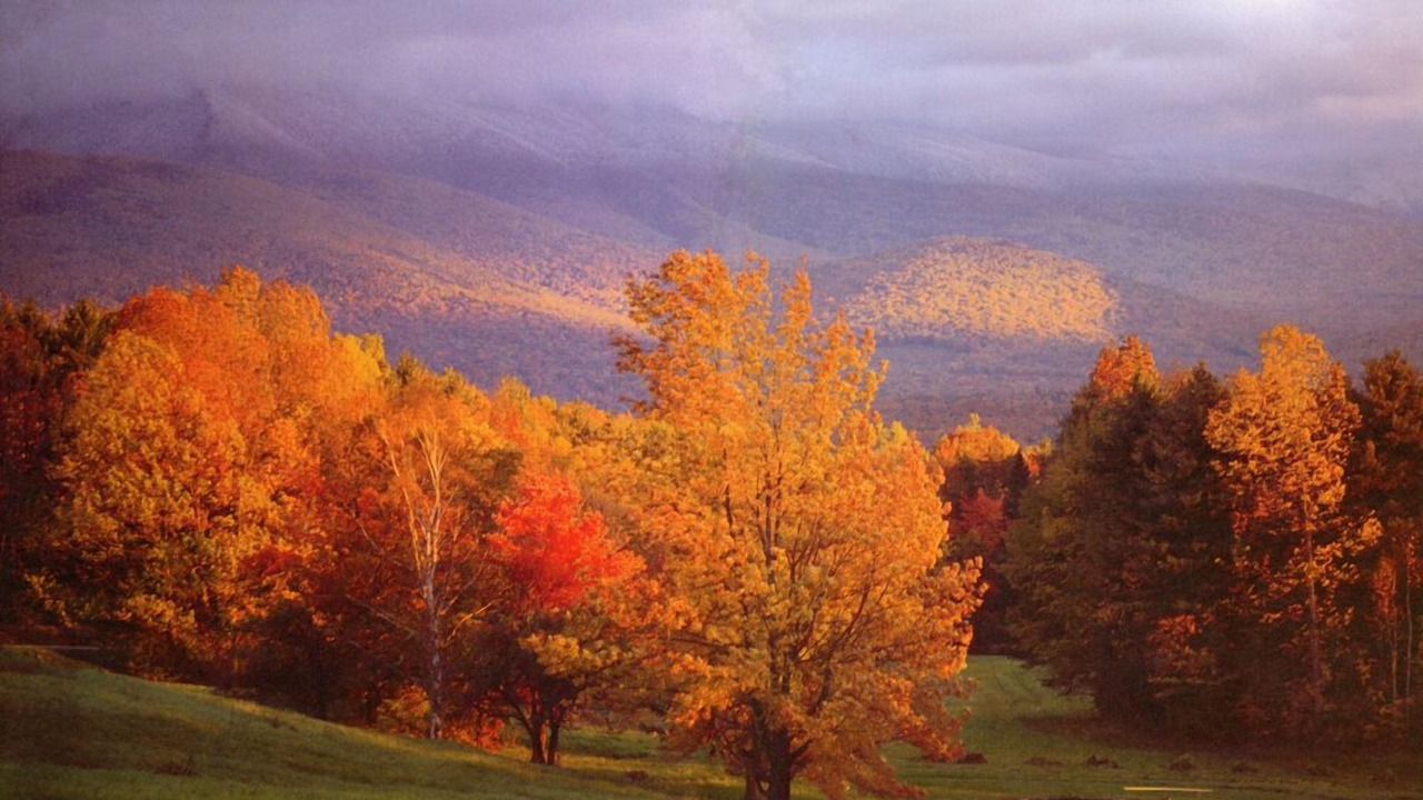 Photo of Others in Jefferson