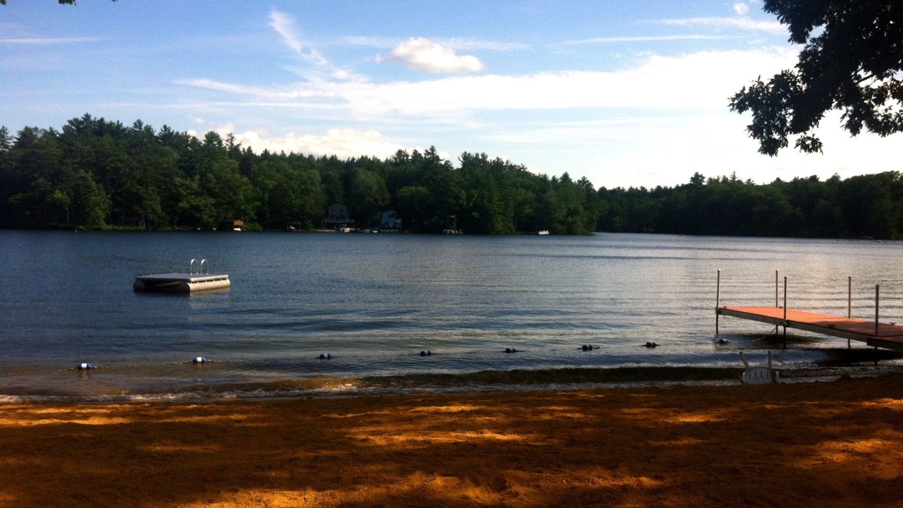 Photo of Others in Lochmere