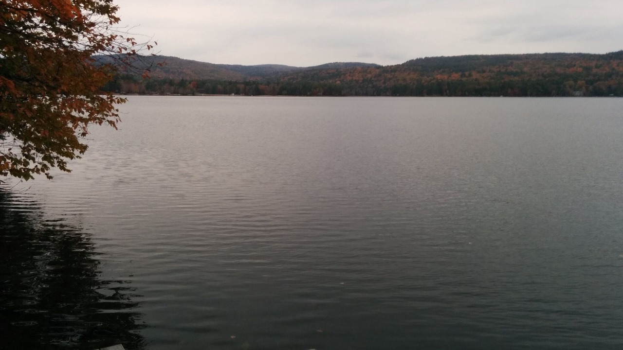 Photo of Outdoor in Elkins