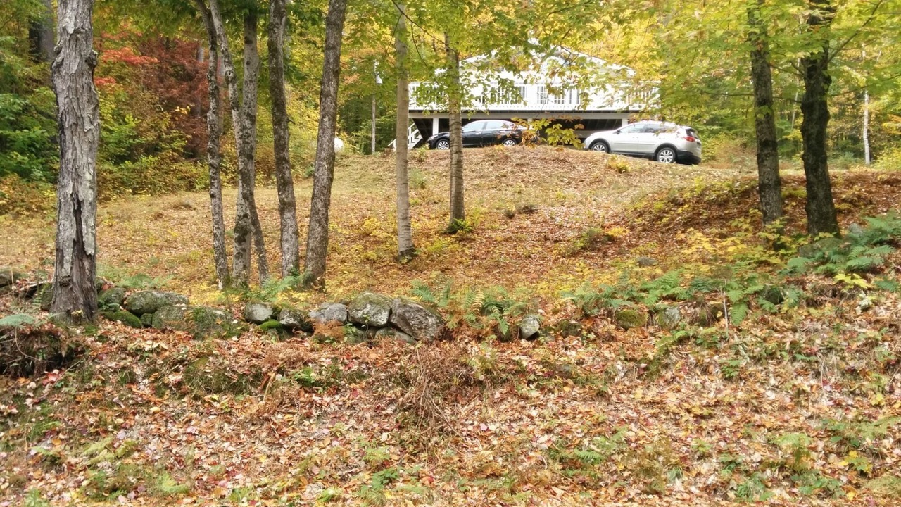 Photo of Others in Elkins