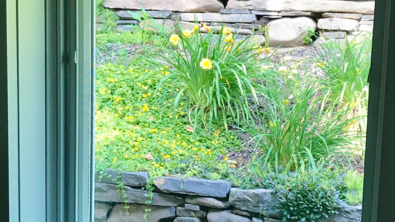 Photo of Outdoor in Woodstock