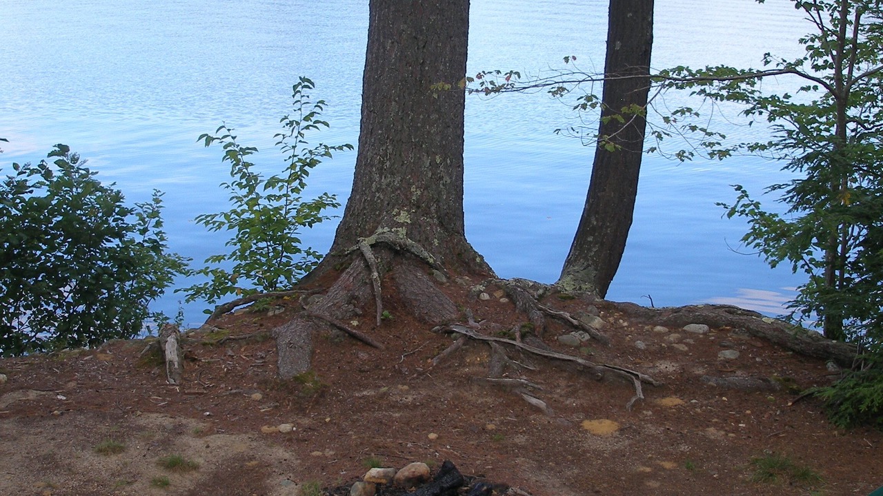 Photo of Others in Lovell