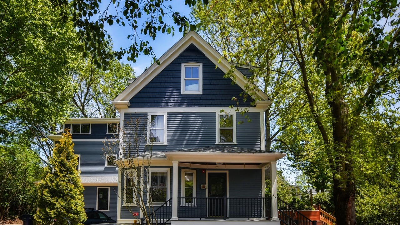 Photo of Outdoor in Jamaica Plain