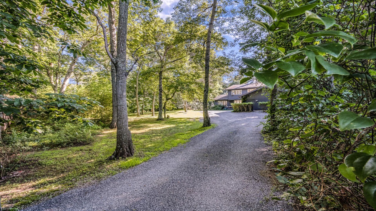 Photo of Others in Water Mill