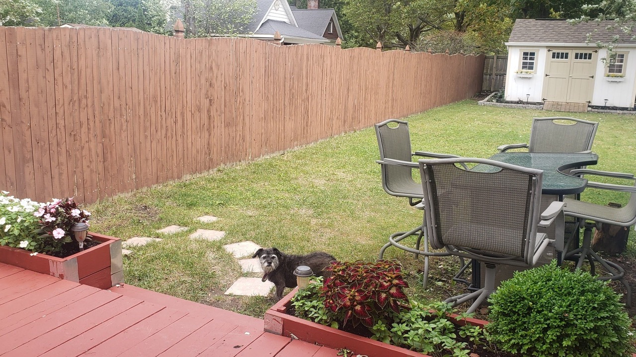 Photo of Outdoor in Amherst