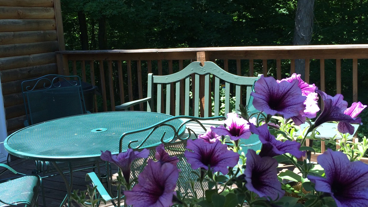 Photo of Outdoor in Sackets Harbor