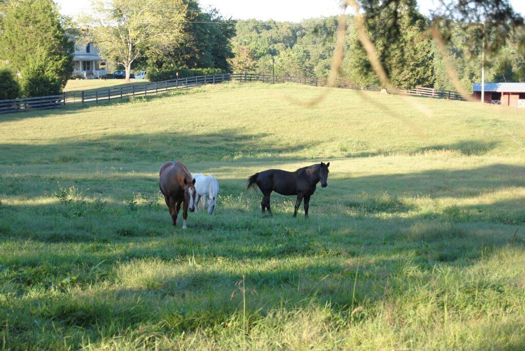 Photo of Others in Ridge