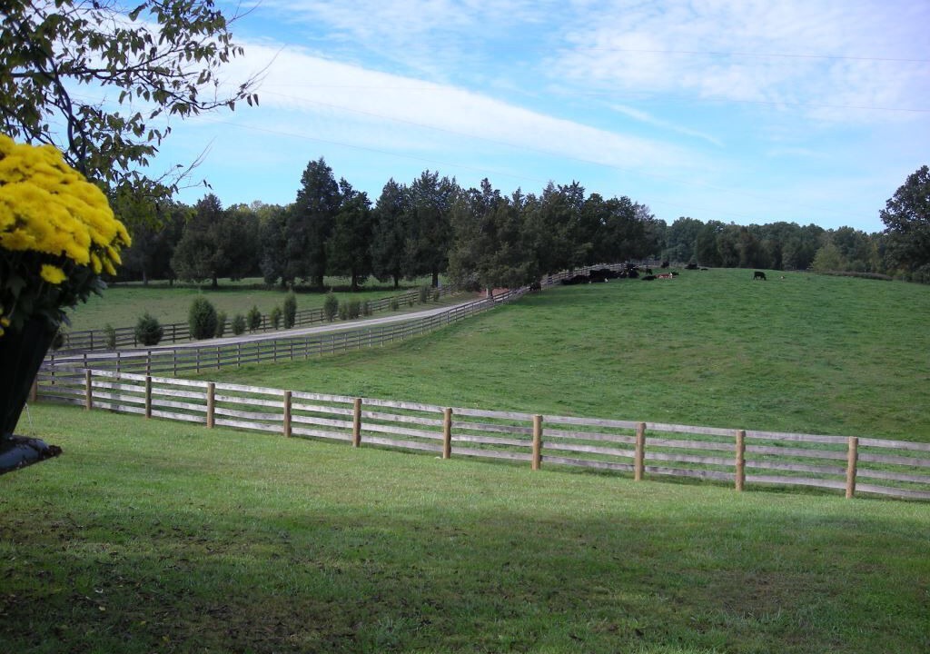 Photo of Others in Ridge