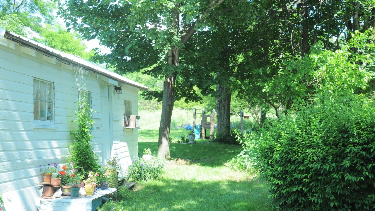 Photo of Outdoor in Hector