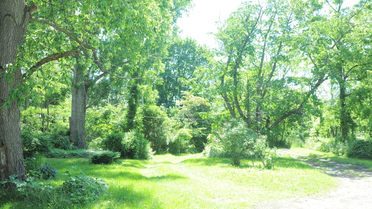 Photo of Outdoor in Hector
