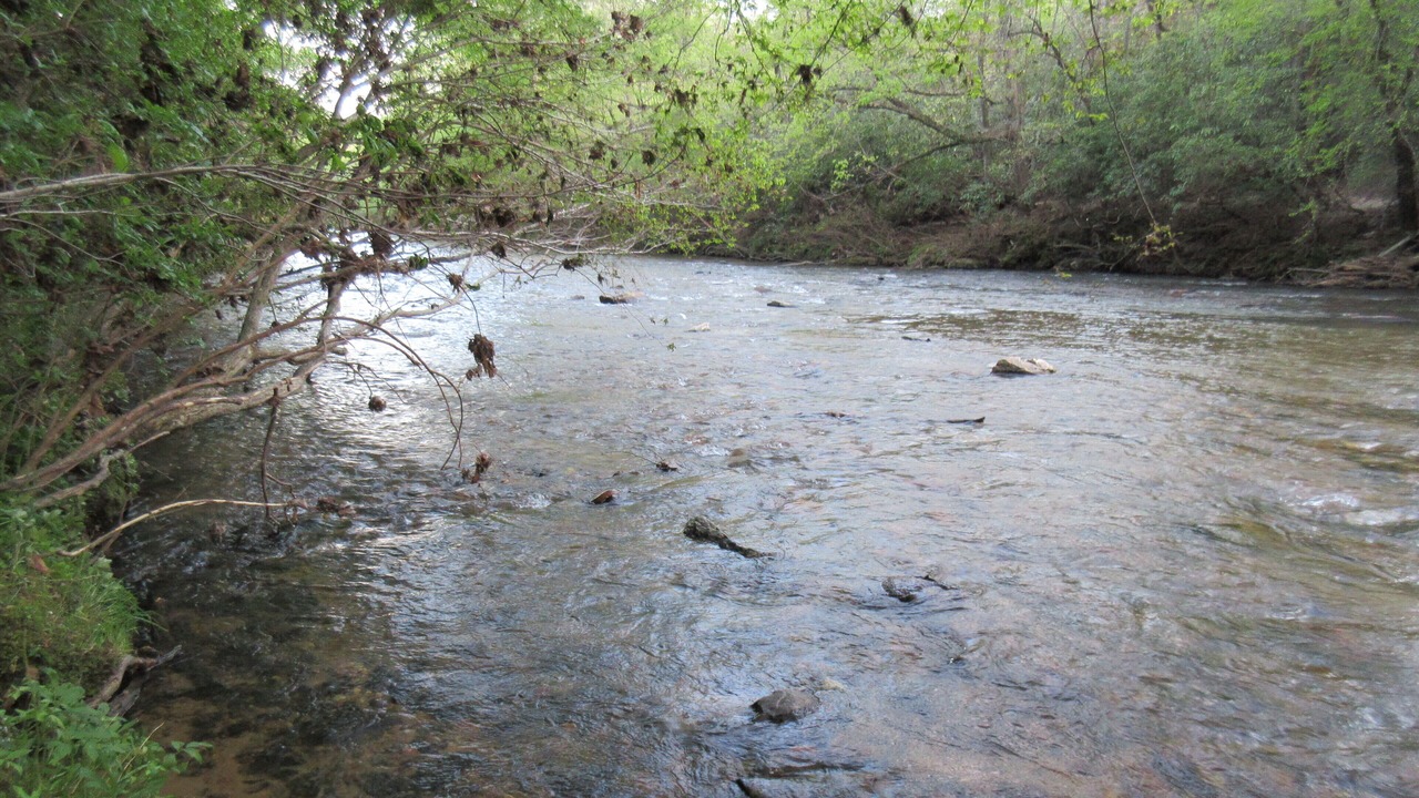Photo of Others in Dobson