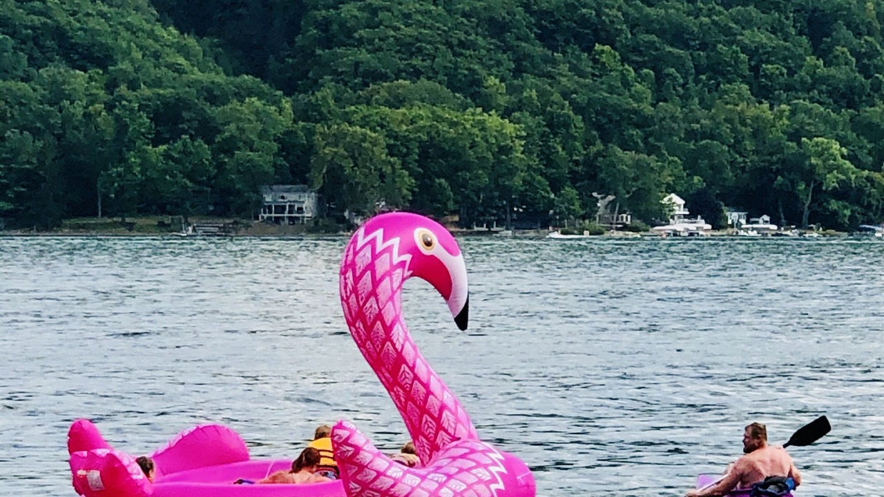 Photo of Others in Hammondsport