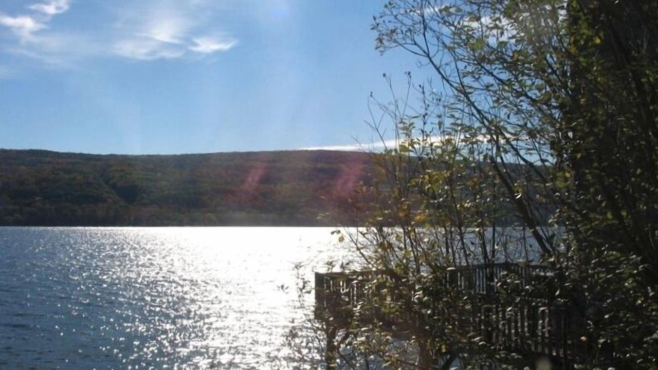 Photo of Outdoor in Hammondsport