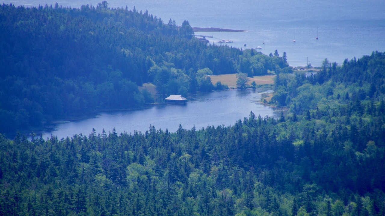 Photo of Others in Seal Harbor
