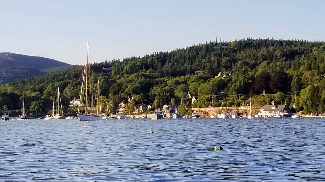Photo of Others in Seal Harbor