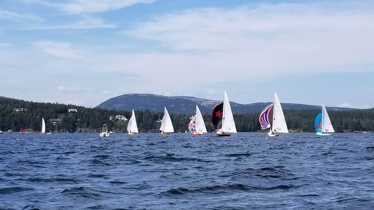 Photo of Others in Seal Harbor